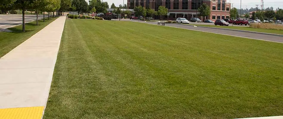 Recently mowed and fertilized commercial lawn in Spokane Valley, WA.